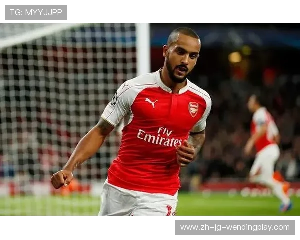 退役英超球员名单及他们的职业生涯回顾 退役英超球员名单及他们的职业生涯回顾